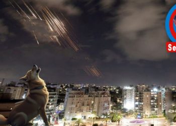 ULUYAN KÖPEĞİ DUYAN YOK MU?