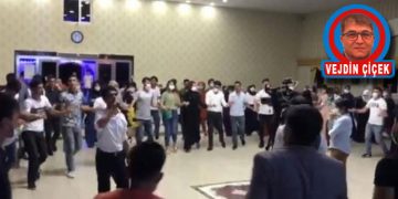 Halaylı Hayatlar: Düğünlerin Kıyısında Köşe Yazısı
