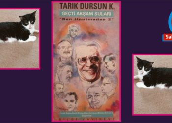 Bizim kedimiz Mey ve belediyelere operasyon