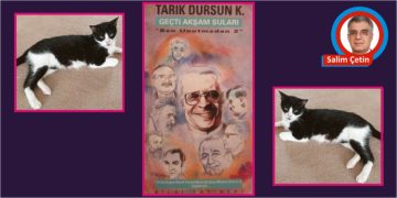 Bizim kedimiz Mey ve belediyelere operasyon