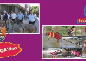 ESİR KAMPI