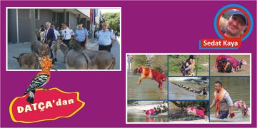 ESİR KAMPI
