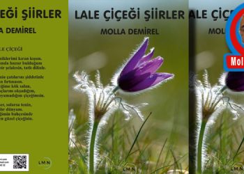 LALE ÇİÇEĞİ