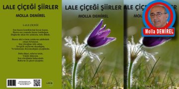 LALE ÇİÇEĞİ