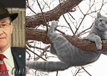 ULVİ PUĞ’DAN (PAZAR’LIK)