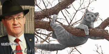 ULVİ PUĞ’DAN (PAZAR’LIK)