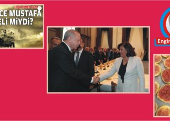 Engin görüş…