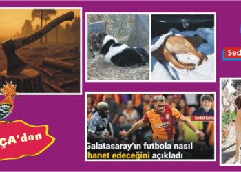 KENDİNE BİR SOR CHP’Lİ ARKADAŞIM