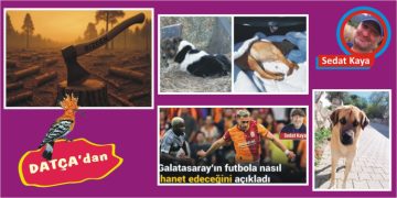 KENDİNE BİR SOR CHP’Lİ ARKADAŞIM