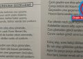 KOLTUK ALTINA GİRİP, BEL ALTINDAN VURMAK