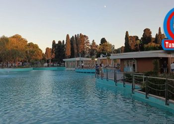 İHTİYAR DELİKANLI İEF’DE SON ÜÇ GECE…