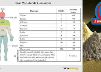 Bedende ve dünyada nadirin talanı: İZ VE NADİR ELEMENTLER