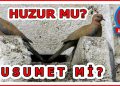 HUZUR MU? “HUSUMET” Mİ?
