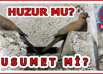HUZUR MU? “HUSUMET” Mİ?