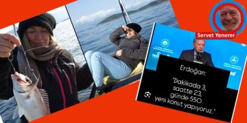 Face yazıları…