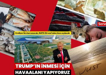 Face yazıları…