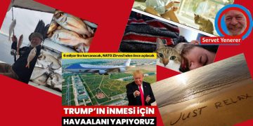 Face yazıları…