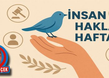 İnsan  Olmayı Hatırlamak İçin Kaç Hafta?