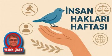 İnsan  Olmayı Hatırlamak İçin Kaç Hafta?