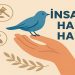İnsan  Olmayı Hatırlamak İçin Kaç Hafta?