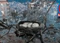 DEPREM BEBELERİNE