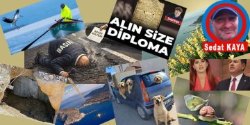 Datça’dan…