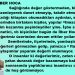 İLBER HOCA