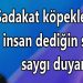 Orhan’dan…dan…dan…
