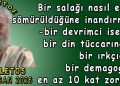 Haliletos’tan inciler…