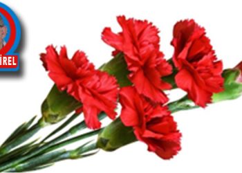 BİR MAYIS