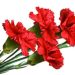 BİR MAYIS