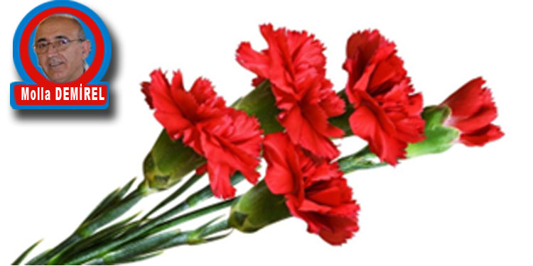BİR MAYIS