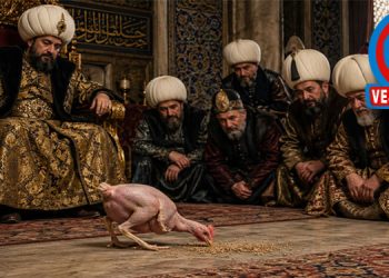 TAVUĞUN HAFIZASI, BİZİM KONFORUMUZ