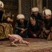TAVUĞUN HAFIZASI, BİZİM KONFORUMUZ