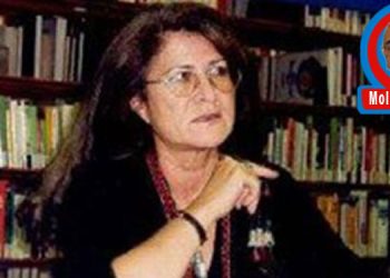  YİTİRİLMEYEN UMUT