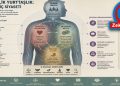 Metabolik yurttaşlık: Bedenin iç siyaseti ve kayyım refleksi