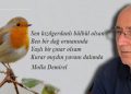 Molla hocadan…