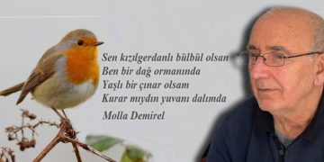 Molla hocadan…