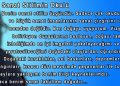 Molla Demirel’den…