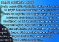 Molla Demirel’den…