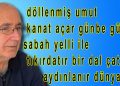 Molla Demirel’den