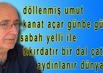 Molla Demirel’den