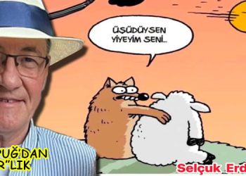 ULVİ PUĞ’DAN (PAZAR”LIK”)
