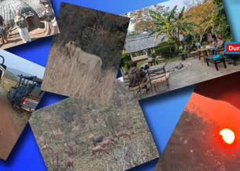 GÜNEY AFRİKA – ZİMBABWE – ZAMBİA – BOTSVANA GEZİSİ 2