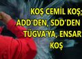 Özgürce…